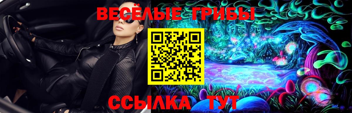 Гусь-Хрустальный  Галлюциногенные грибы Cubensis  где продают   Псилоцибиновые грибы мицелий  Вход с VPN 