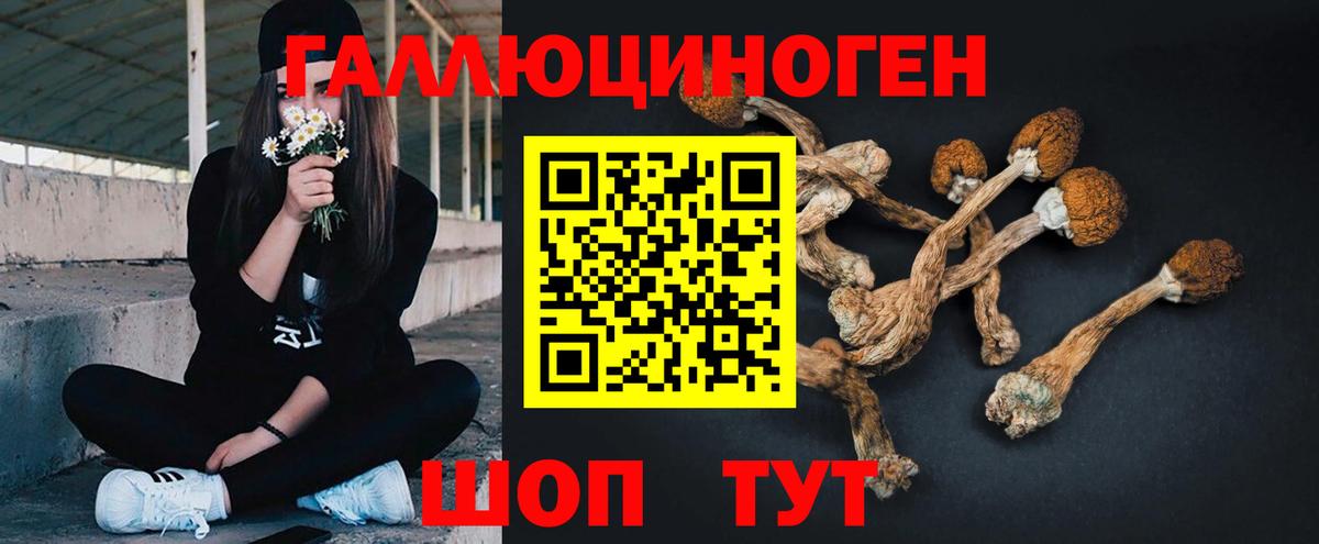 Псилоцибиновые грибы ЛСД Гусь-Хрустальный